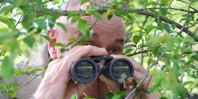 Romanian regulator busts covert black market affiliate